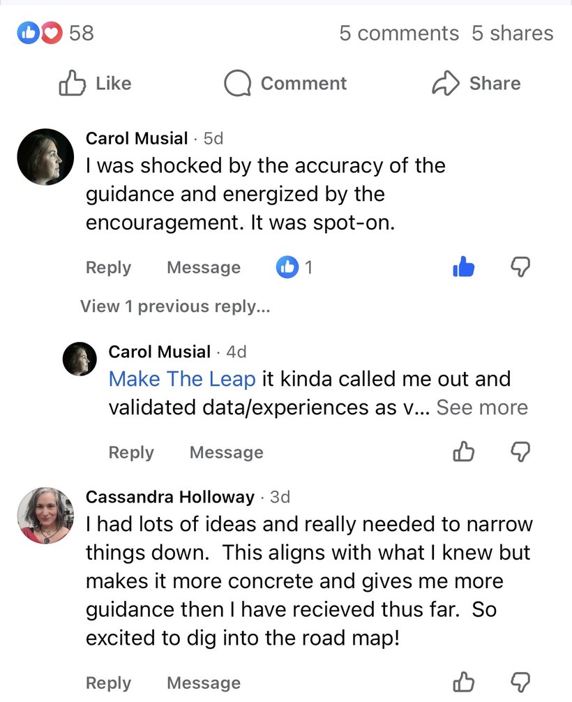 Facebook comments on a Make the Leap ad. Carol Musial: "I was shocked by the accuracy of the guidance and energized by the encouragement. It was spot-on." Cassandra Holloway: "I had lots of ideas and really needed to narrow things down. This aligns with what I knew but makes it more concrete and gives me more guidance then I have recieved thus far. So excited to dig into the road map!"